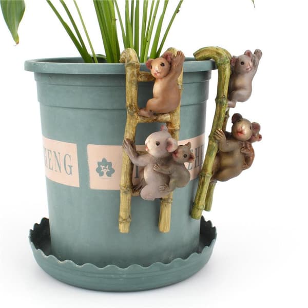 Trädgårdskoala