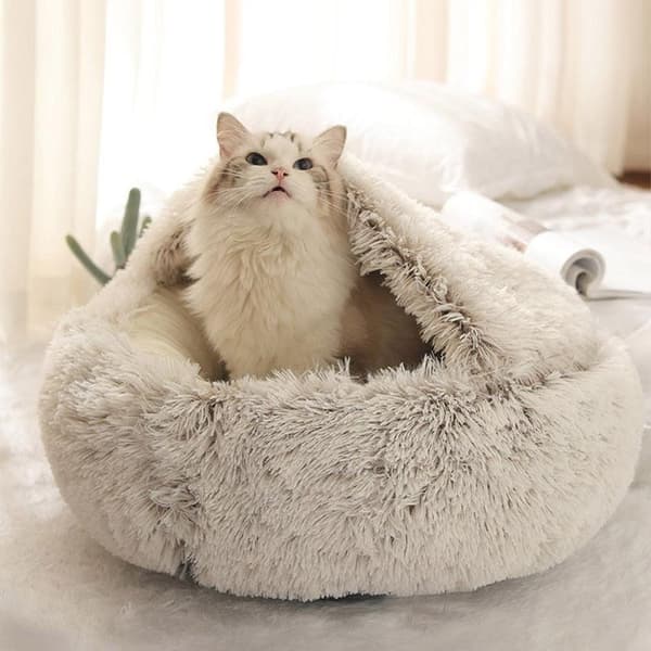 Katt / Hundbädd