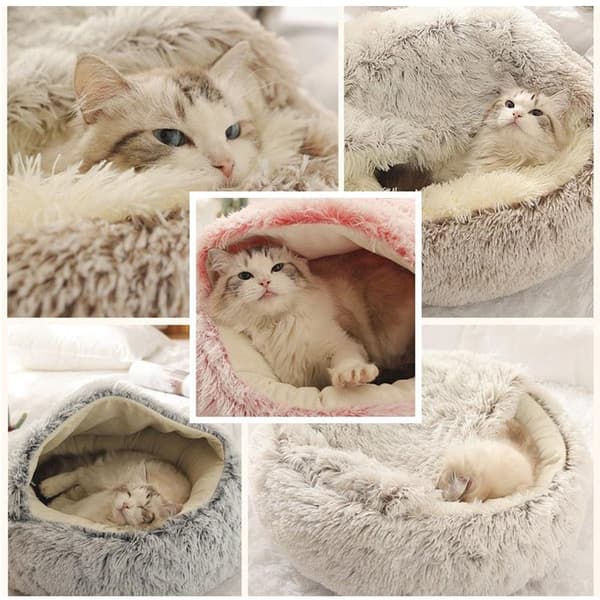 Katt / Hundbädd