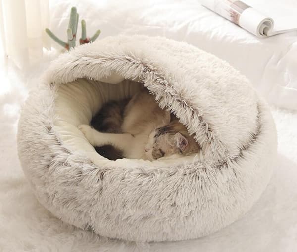 Katt / Hundbädd