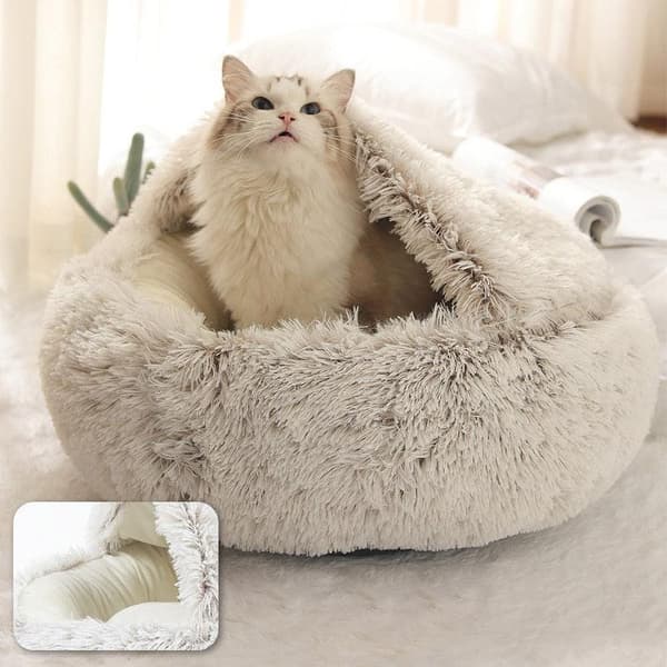 Katt / Hundbädd