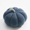 Miniatyrbild 9 av 11: Kudde Pumpa