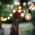 Miniatyrbild 4 av 6: Ljusslinga glödlampa