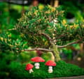 Miniatyrbild 3 av 3: Trädgårdssvamp