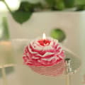 Miniatyrbild 5 av 11: Ros Blockljus