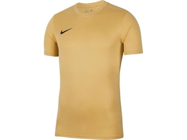 Nike Nike JR Dry Park VII t-shirt 729 : Storlek - 164 cm (BV6741-729) - 23579_200764