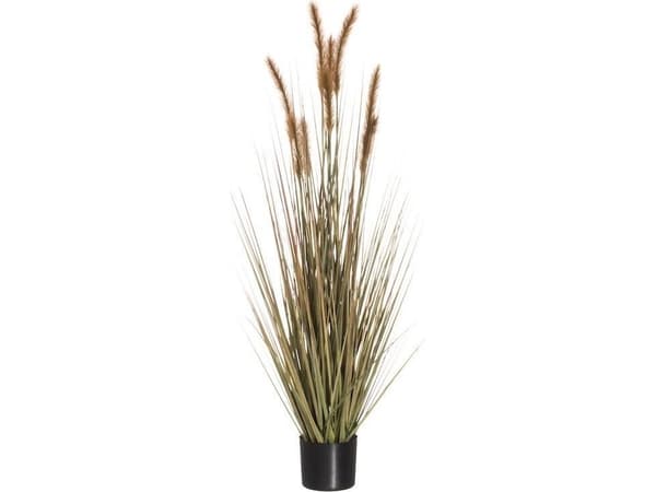 4Levende Høy i potte 122 cm