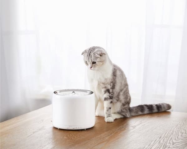 PETKIT Eversweet 3 Pro – Cat Drinking Fountain – Med app – BPA-fri – 1,35L – Tyst – med filter