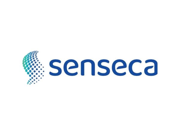 Senseca DX 621 #####Digitaler lyssensor 1 - 1999,99 W/m²