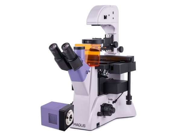 MAGUS Lum VD500L Fluorescence Inverted Digital Microscope