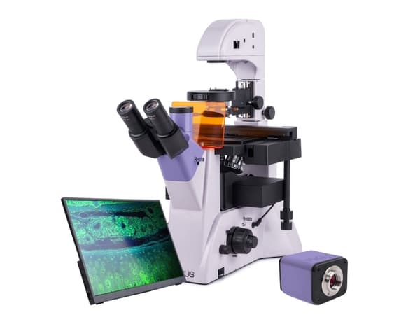 MAGUS Lum VD500L LCD Fluorescence Inverted Digital Microscope