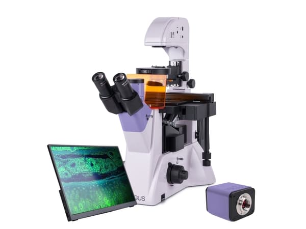 MAGUS Lum VD500 LCD Fluorescence Inverted Digital Microscope