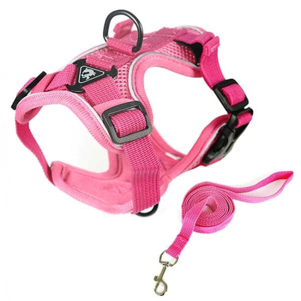 Lemmikin valjaat S(Pink)