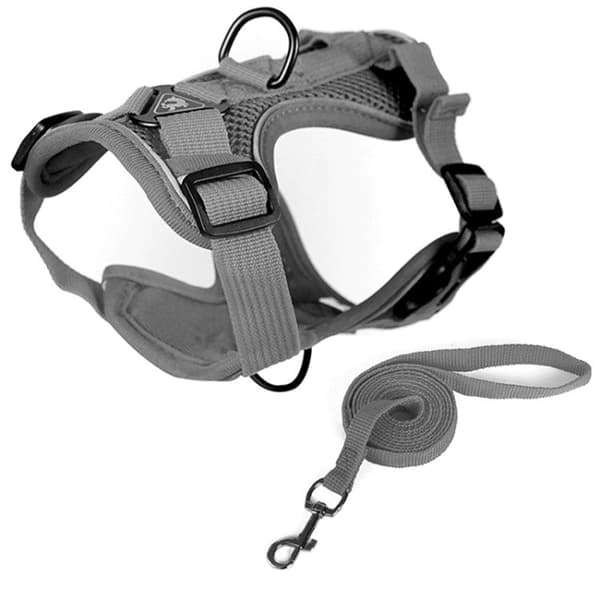 Lemmikin valjaat S(Gray)