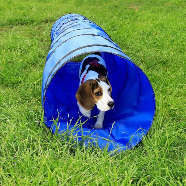 Agility tunneli 300 x 50 cm