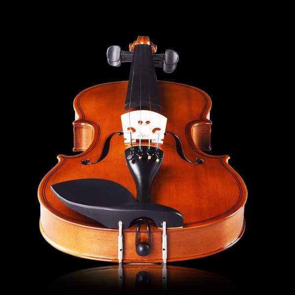 Viulu 4/4