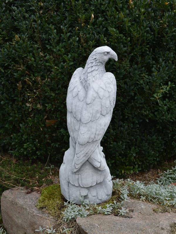 Kotka 50 cm