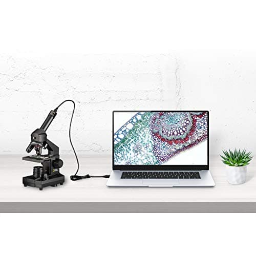National Geographic 40-1024x USB