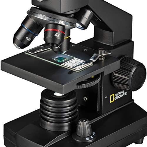 National Geographic 40-1024x USB