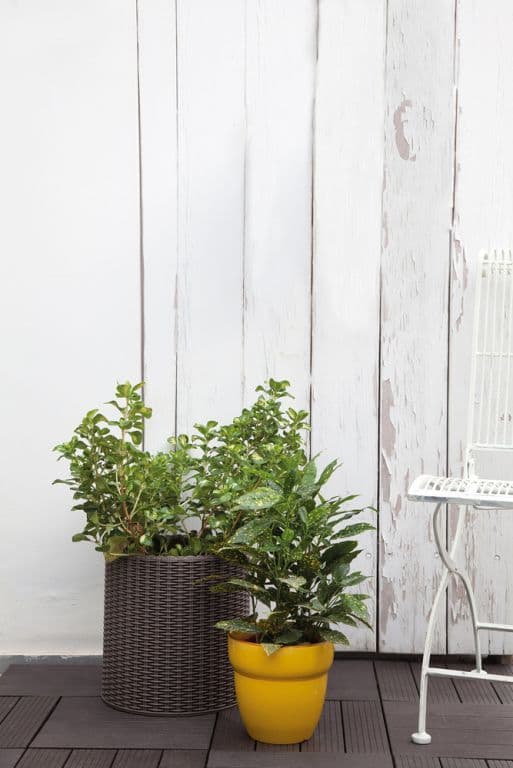 Rund plantekasse/lokk rød Rattan 28 x 28,3 cm KETER