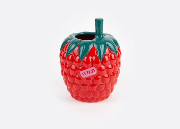 DOIY - Farmers Market Raspberry Vase 14.5x20cm
