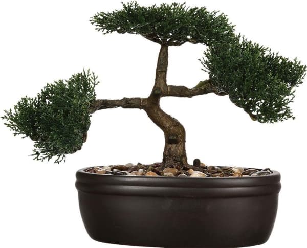 Atmosphera Bonsai-träd i sortj-kruka 23 cm