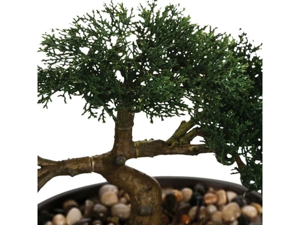 Atmosphera Bonsai-träd i sortj-kruka 23 cm