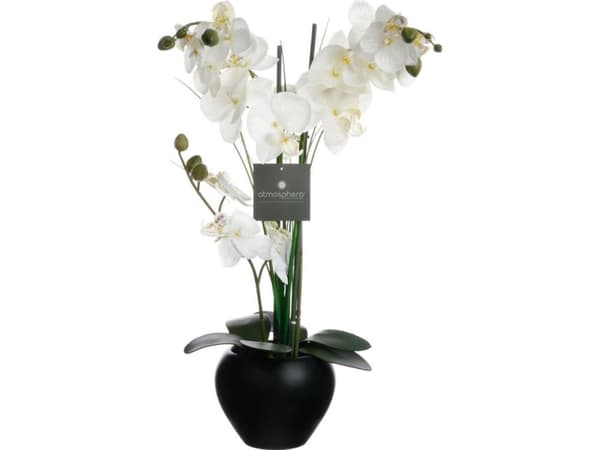 Atmosphera Orchid i sortj kruka 53 cm