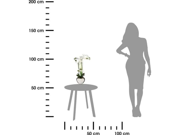 Atmosphera Orkidé i silverkruka 53 cm