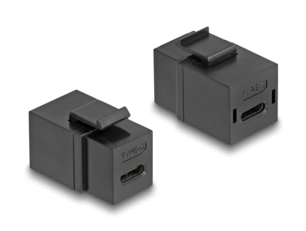 Delock - Modulär insats (koppling) - hona till hona - USB Typ C - svart
