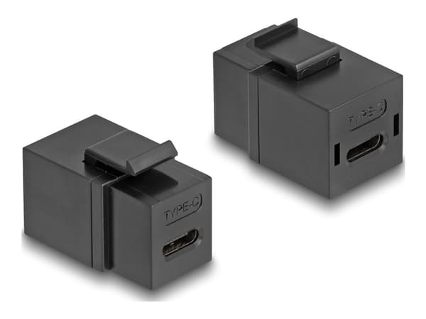 Delock - Modulär insats (koppling) - hona till hona - USB Typ C - svart