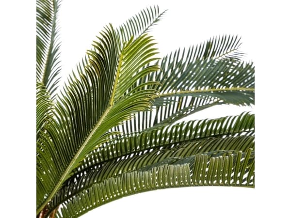 Atmosphera Palmträd i kruka 68 cm