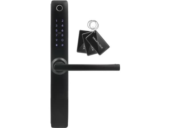 Handle with access controller EURA ELH-20H4
