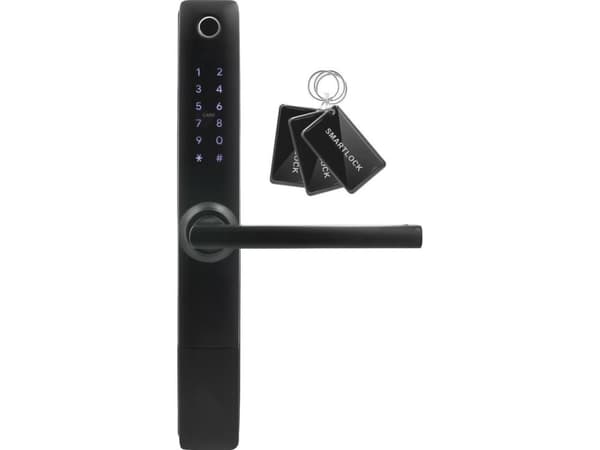 Handle with access controller EURA ELH-20H4