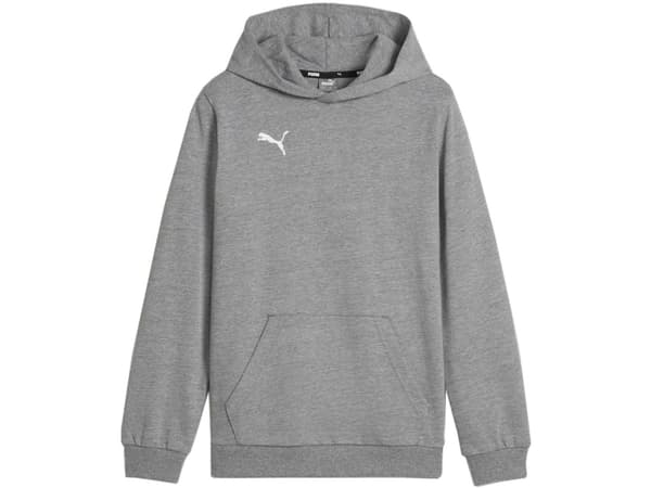 Puma lasten collegepaita Puma Team Goal Casuals Hoddy harmaa 658619 33 140cm