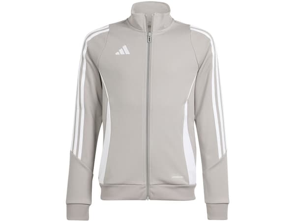 Sweatshirt for kids adidas Tiro 24 Training gray IR9508 116cm