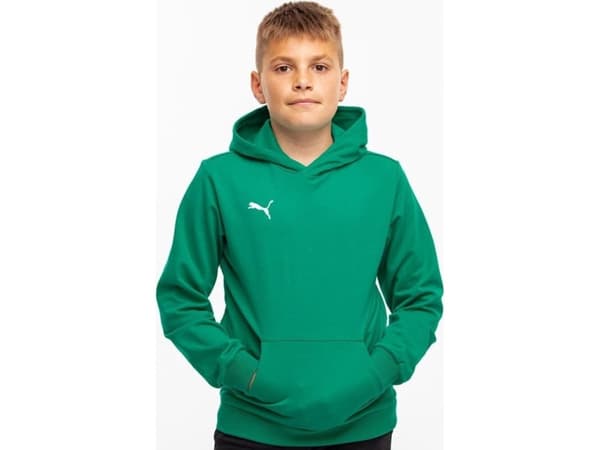 Puma Team Goal Casuals Hoddy Sweatshirt green 658619 05 152cm