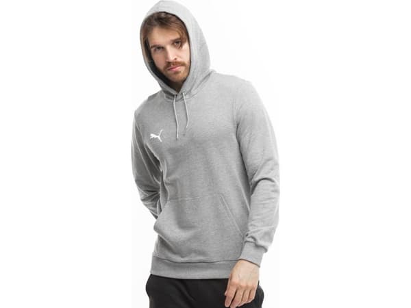 Puma Team Goal Casuals Hoody grey 658618 33