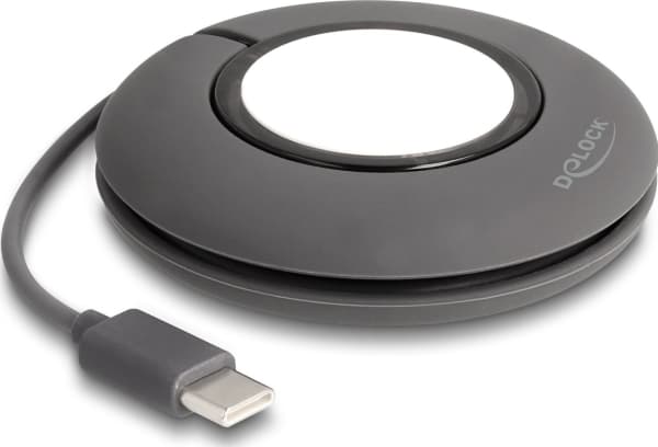 Delock - Laddningskabel för smart klocka - 24 pin USB-C hane magnetisk - 1 m - grå