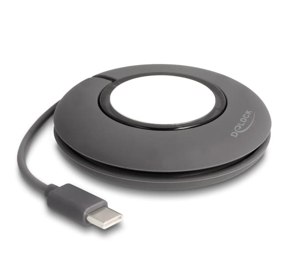 Delock - Laddningskabel för smart klocka - 24 pin USB-C hane magnetisk - 1 m - grå