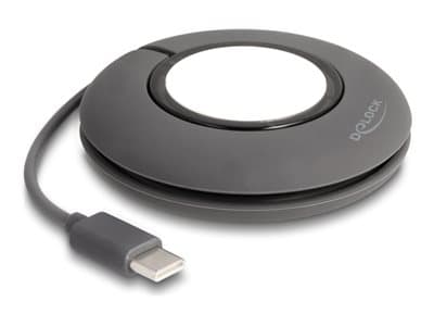 Delock - Laddningskabel för smart klocka - 24 pin USB-C hane magnetisk - 1 m - grå