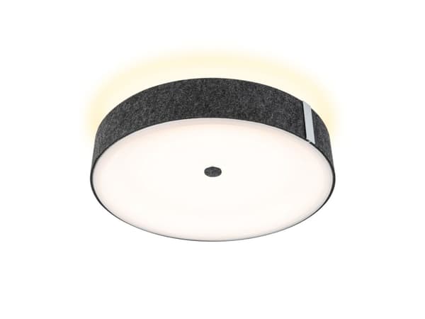 Paulmann 79994 Malika LED-kattovalaisin LED (RGB) 26 W Antrasiitti