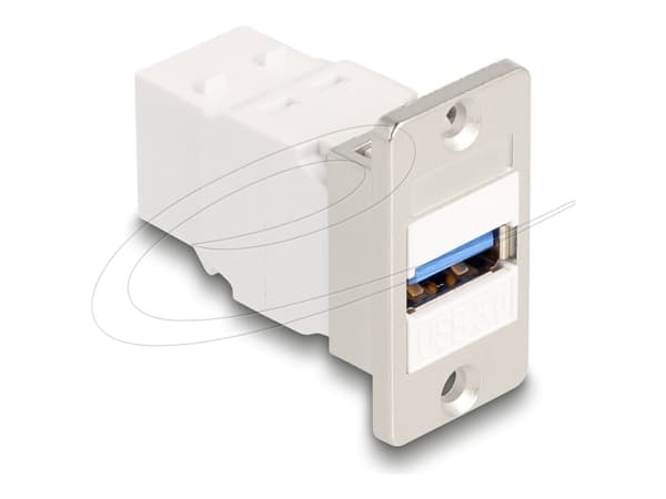 Delockin paneeliasennuskeystone-moduuli USB 5 Gbps Type-A naaras USB Type-B naaras kartiomainen