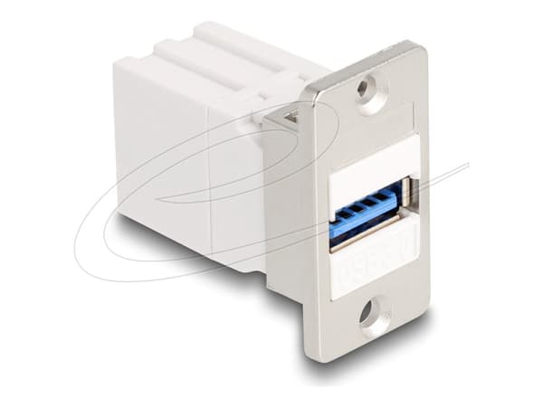 Delock Keystone module - USB-adapter - USB (hona) till USB (hona) - upp till 5 Gbps dataöverföringshastighet - vit, silver