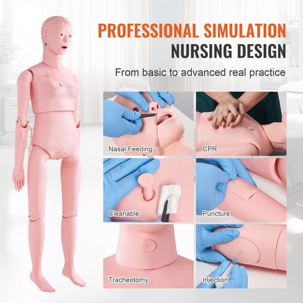 Sygeplejedukke: Demonstration af kvindelig kropsstørrelse. Multifunktionel PVC-anatomisk mannequin til sygeplejeuddannelse og simulation.