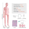Miniatyrbillede 7 af 9: Sygeplejedukke: Demonstration af kvindelig kropsstørrelse. Multifunktionel PVC-anatomisk mannequin til sygeplejeuddannelse og simulation.