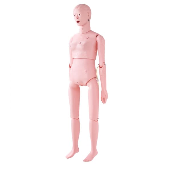 Sygeplejedukke: Demonstration af kvindelig kropsstørrelse. Multifunktionel PVC-anatomisk mannequin til sygeplejeuddannelse og simulation.