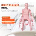 Miniatyrbillede 2 af 9: Sygeplejedukke: Demonstration af kvindelig kropsstørrelse. Multifunktionel PVC-anatomisk mannequin til sygeplejeuddannelse og simulation.