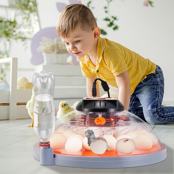 Siitosmunien automaattinen kääntäminen, 24 munan munahautomo.