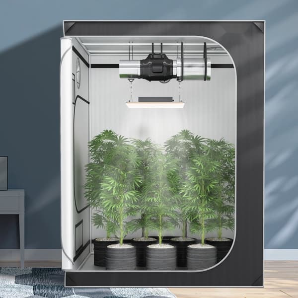 5x5 kasviteltta, 60'' x 60'' x 80'', heijastava 2000D Mylar, havaintoikkuna, työkalupussi ja lattiaalusta sisäkasveille.